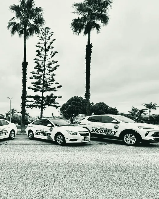 Two marked Medallion Protective Services patrol cars parked under palm trees